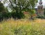 Rondwandeling langs vlinders en insecten